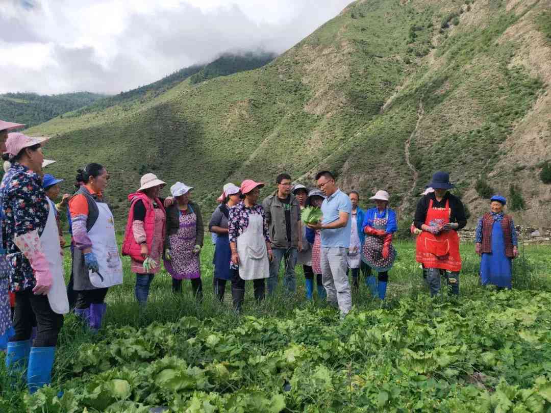 净土阿坝农业开发招聘及信息