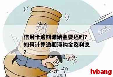 信用卡逾期还款费用分析：如何避免高额滞纳金？