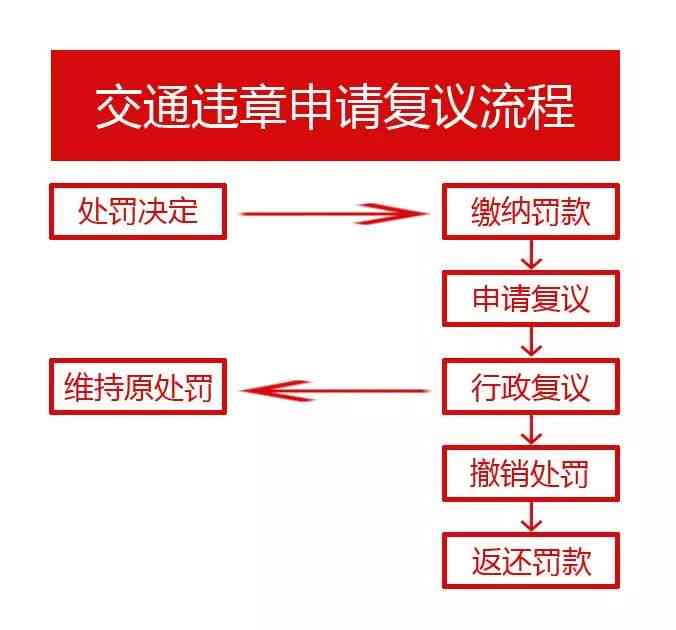 新逾期申报处罚罚款单缴纳全流程指南及相关政策解读