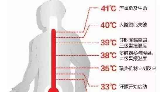 玉石在高温下的表现：颜色变化与其性质的关系探讨