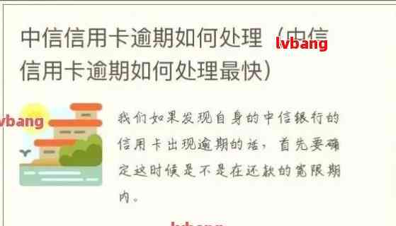 中信信用卡逾期联系人信息管理：查询、删除及更改操作指南