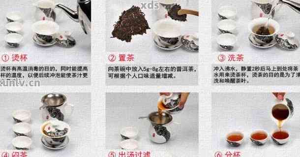 泡制普洱茶的基本步骤：顺序、时间与度的精准掌控