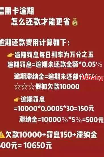 逾期还款怎么办？如何补救？还有其他还款方式吗？