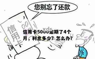 欠信用卡5000逾期四个月怎么办？后果与利息分析