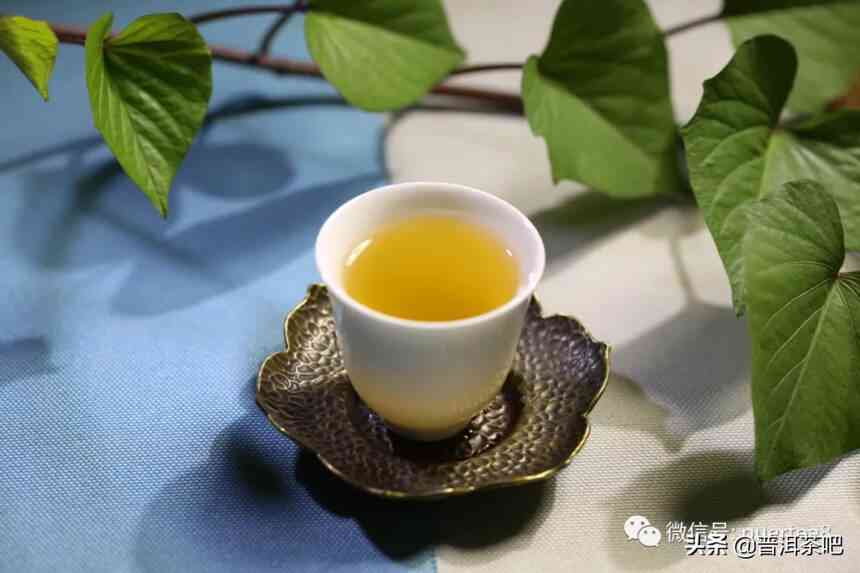 新 猫耳朵熟普洱茶：独特口感与醇厚回的完美融合