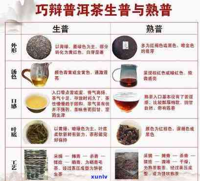 云南保山普洱茶：品种特点、品质鉴与冲泡方法详解，一文全面了解！