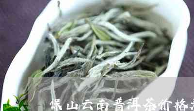 云南保山古树普洱茶价格表