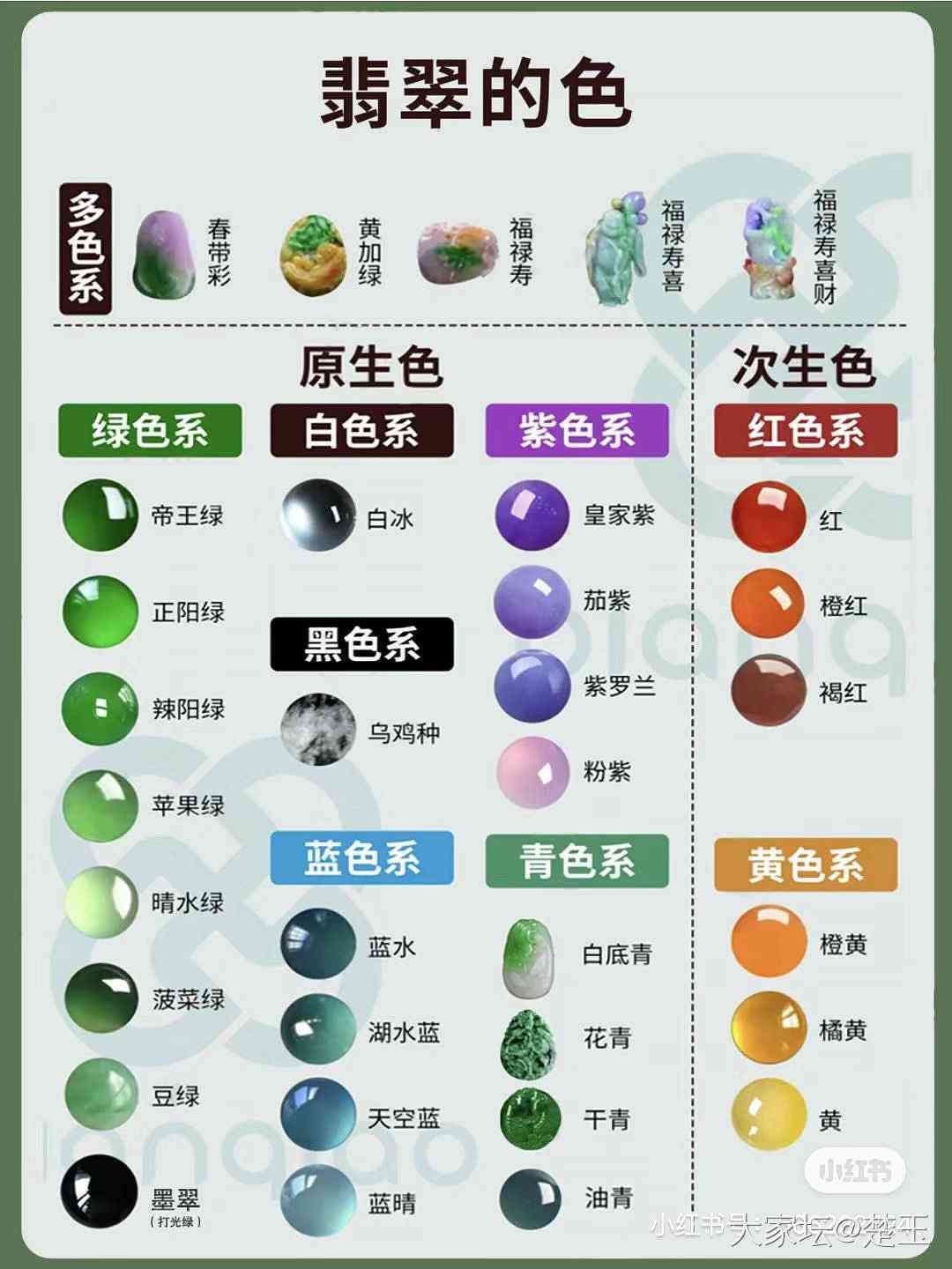 从栗子黄到翡翠色：探索色彩搭配与栗子选购的全面指南