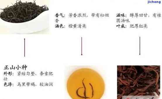 吉庆号茶业：品质越，传承经典，全方位了解茶叶种类、制作工艺与品饮技巧