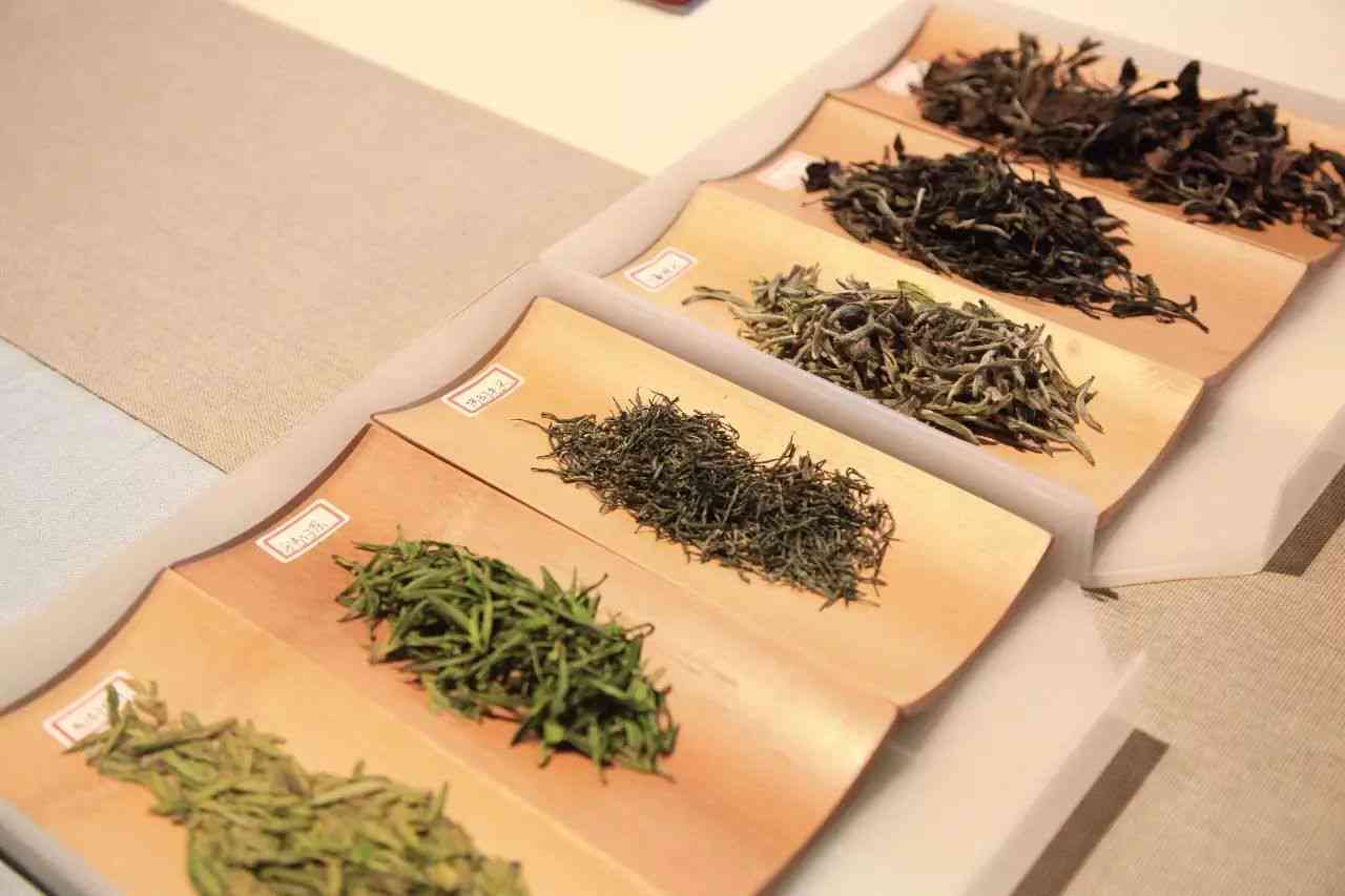 吉庆号茶业：品质越，传承经典，全方位了解茶叶种类、制作工艺与品饮技巧