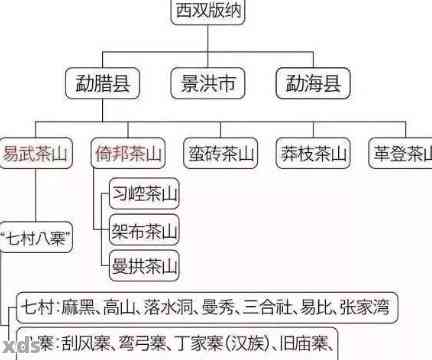 普洱茶各大山头的基本特性与口感解析：从产地到品种，全面了解普洱茶的魅力