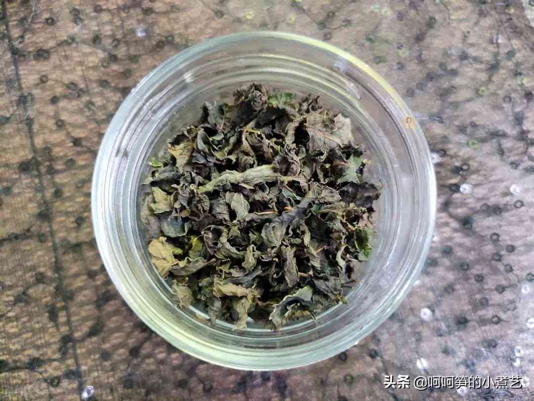 生普洱薄荷茶的制作与饮用方法全面解析，是否适合泡茶喝？