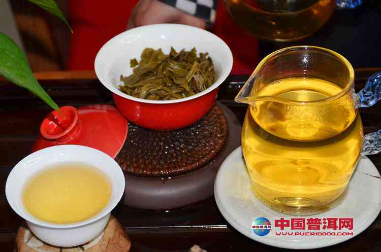 普洱茶品鉴入门：如何正确品尝与欣普洱茶的魅力