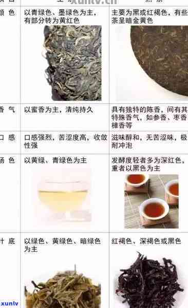 '熟普绿茶还是红茶：全解析普洱茶、红茶与绿茶的区别'