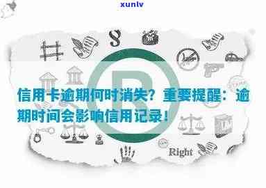 大学生信用卡逾期记录消除时间及影响因素全解析