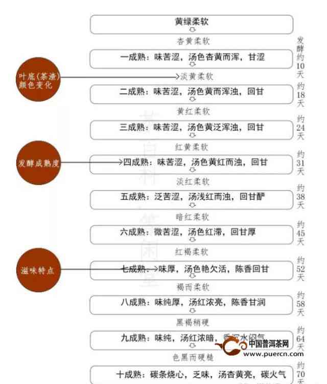 熟普的发酵工艺及其对发酵程度和时间的影响