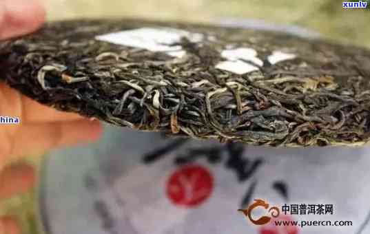 探究普洱茶的陈化过程：保质期与过期的区别