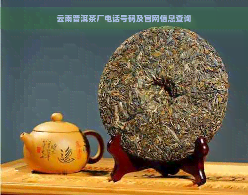 云南普洱茶饼批发公司电话查询及价格指南-云南普洱茶厂直供