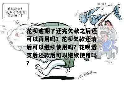 信用卡逾期还款后，是否可以继续使用花呗进行支付？