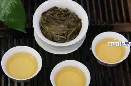 新手品尝普洱茶的味道与口感指南：如何品鉴和理解普洱茶的风味