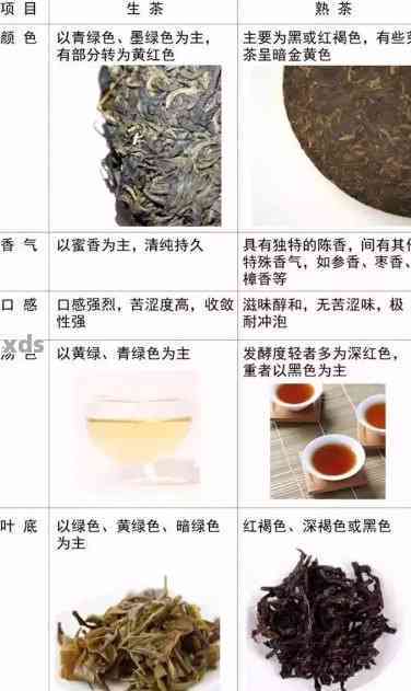 普洱茶生与熟区分：掌握普洱茶的生熟差异与品鉴技巧