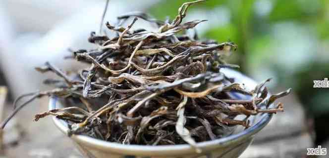 普洱茶杆杆能当茶喝吗：探究普洱茶里的茶杆及其影响