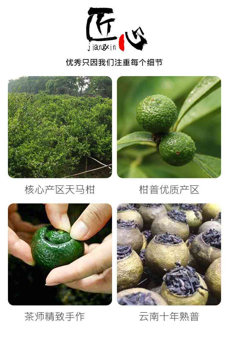 新隔夜的小柑橘普洱茶是否仍可享用？我们一起探索