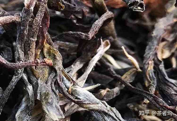 普洱茶生茶与熟茶的区别：了解高杆茶的特征与应用