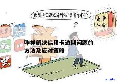 信用卡提示错误导致逾期怎么办：解决办法及建议