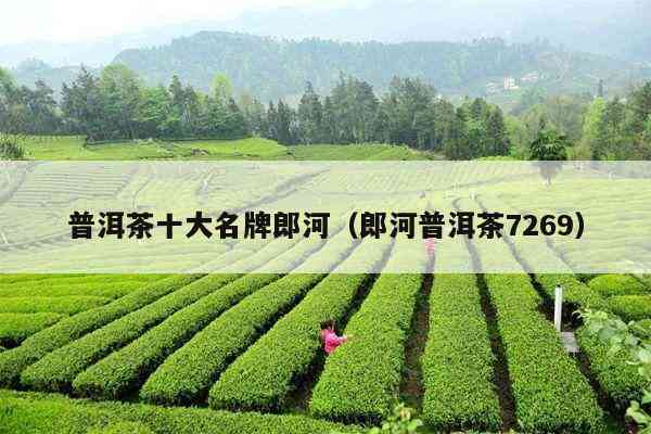 十大名牌普洱茶榜单出炉：郎河茶品荣登榜首，品味越品质