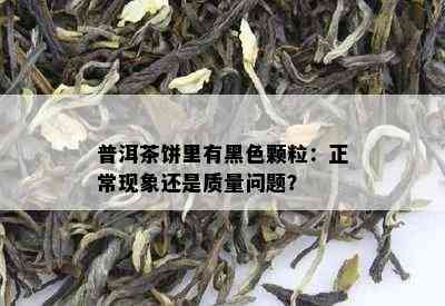 普洱茶饼中的黑色颗粒是什么？如何鉴别？