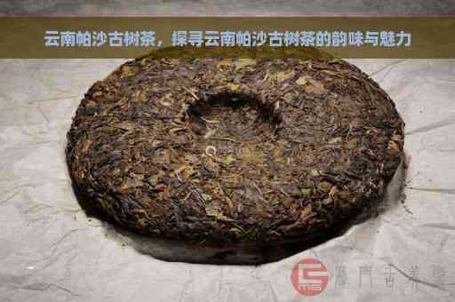 云南普洱茶：帕沙的独特魅力与品鉴技巧