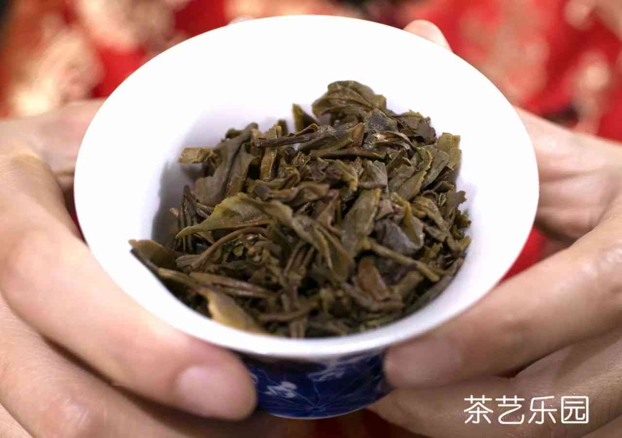 怕帕普洱茶