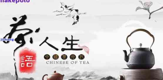 普洱茶简语：茶语人生经典句子与霸气茶语大全