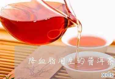 红枣普洱茶的好处：促进消化、降低血脂、抗氧化等功效。