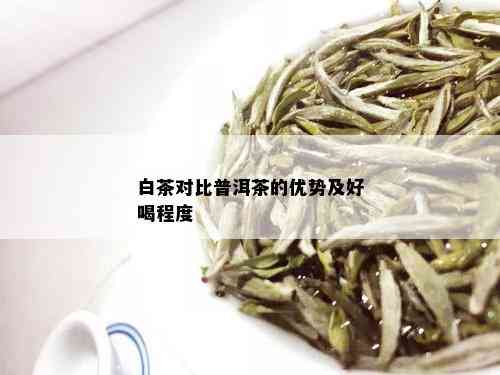 普洱茶和白茶怎么选比较好