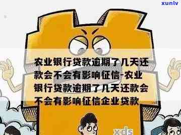 逾期半个月后仍还款的农行贷款是否还有再次借款机会？