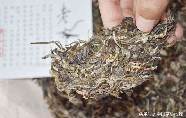 新 普洱茶中的健隐患：喝后皮肤发痒、起疙瘩的原因及解决方法