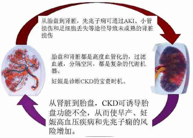 普洱茶对前列腺健的影响：科学研究和建议