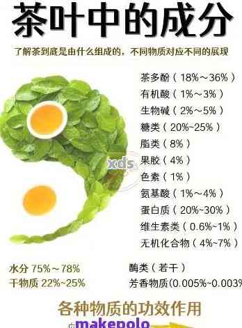 普洱茶的完整成分及其与茶叶的关系：全面解析