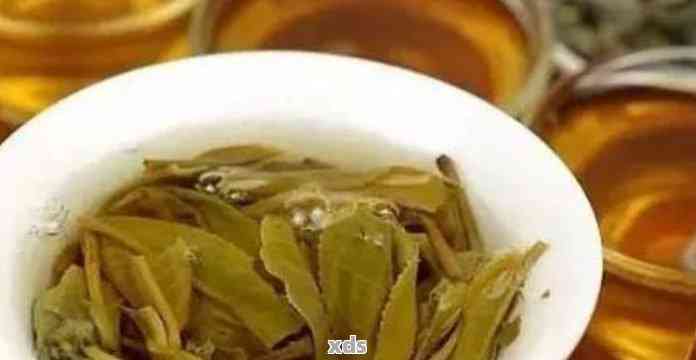 普洱茶茶雾的全面解析：从产生机制、品质特点到冲泡方法，一文解决您的疑问