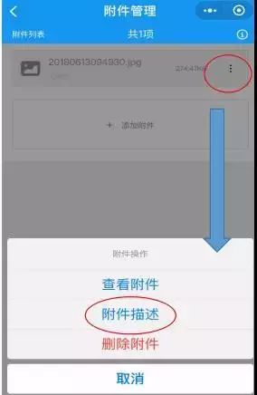 男孩子佩戴龙牌是否合适：探讨信仰与文化的兼容性