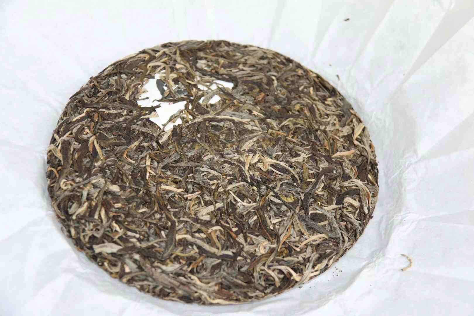 纯粹普洱茶