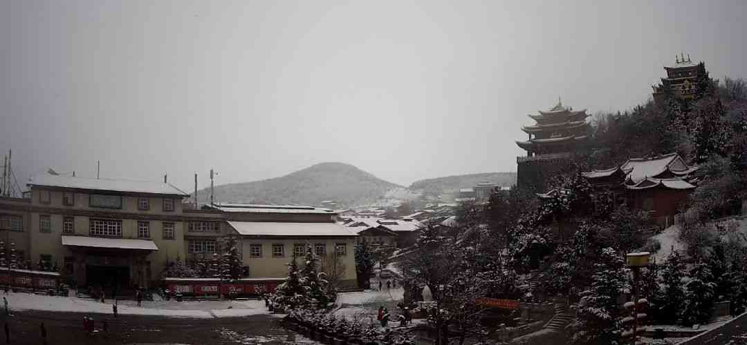 大雪普洱茶