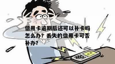 信用卡逾期后遗失，补办新卡的可行方案及其步骤