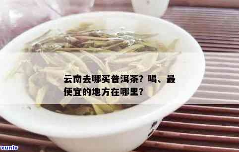 云南普洱茶哪里购买？如何选择到真正好喝的正品普洱茶？