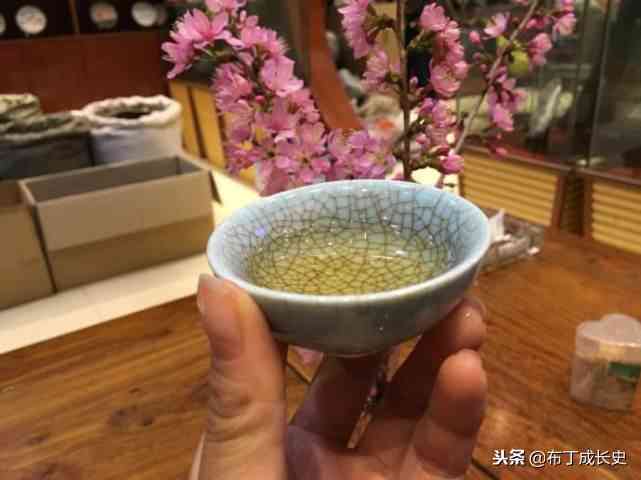 普洱茶品鉴与人生哲学：如何从一杯茶中领悟生活的真谛？