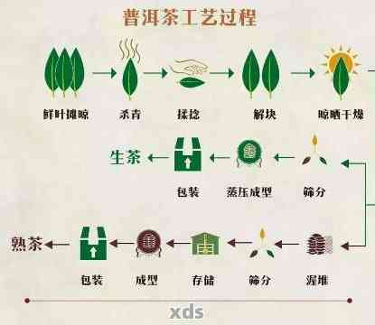 新普洱茶制作的七种工艺类型，你了解哪些？