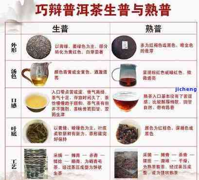 普洱茶韵：探索茶文化与品鉴技巧，了解其历与种类