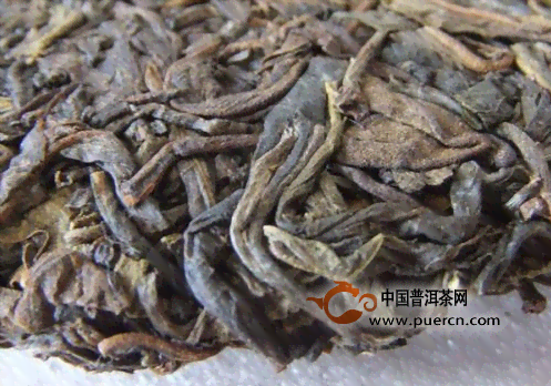 如何判断普洱茶干仓和湿仓的区别：新手必看的技巧